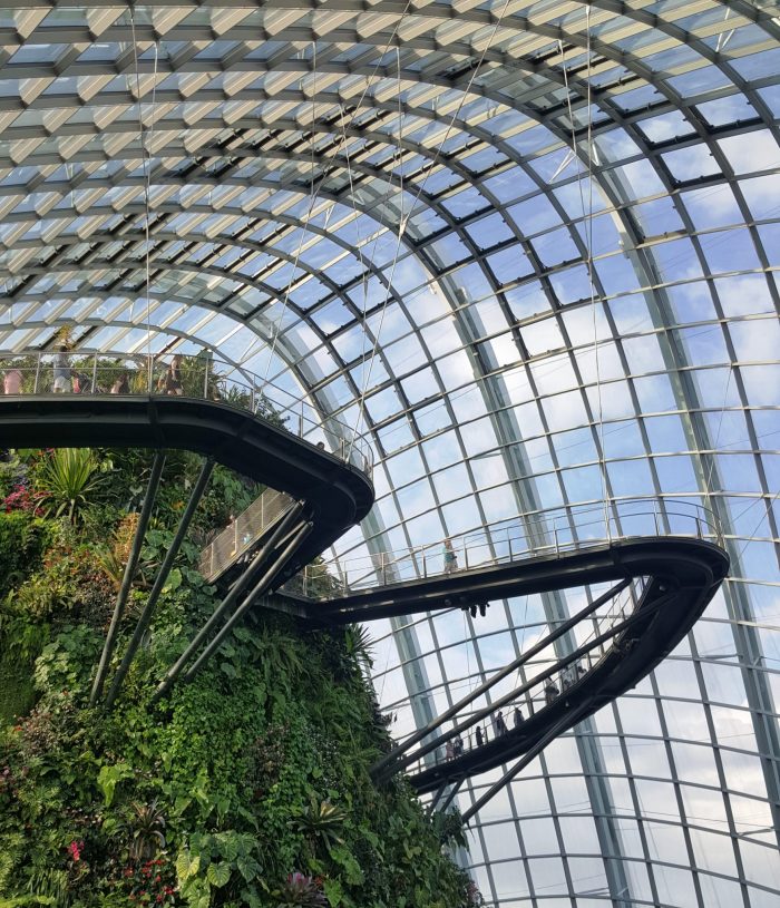 Blick ins Innere eines Gewächshauses mit tropischem Regenwald