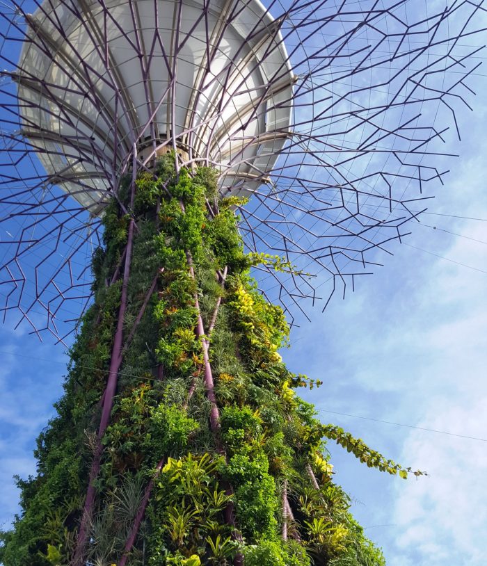 Turm, der außen mit Schlingplanzen bewachsen ist