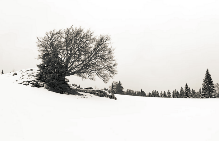 Ganz. Neu. Hier: Winterlandschaft