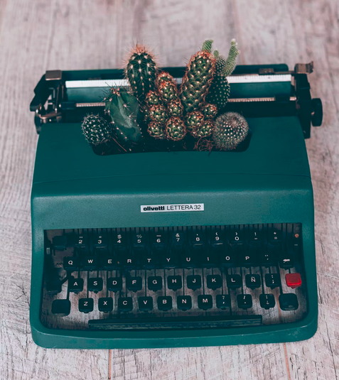 Schreibmaschine mit kaktus